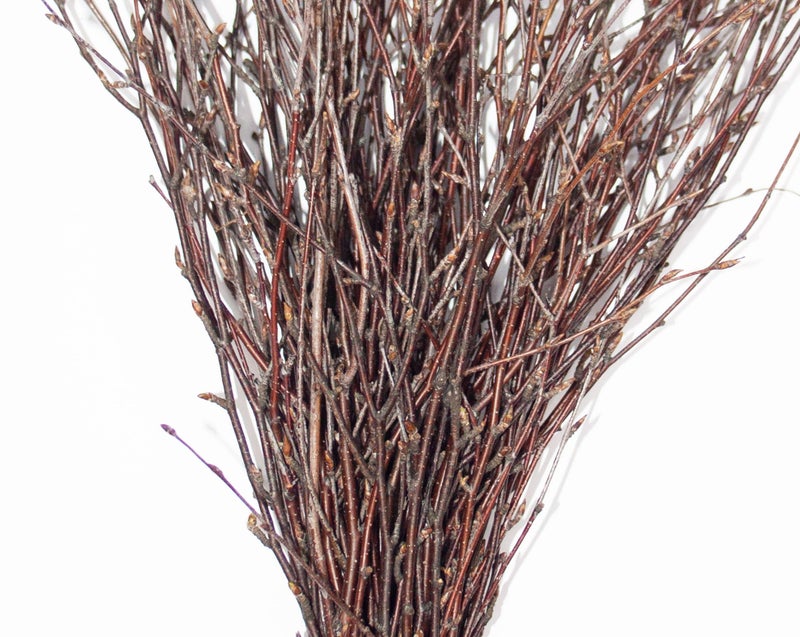 ECOVENIK - 50 psc. Birch Twigs â€“ 100% Natural Decorative Branches for Vases, Centerpieces & DIY Crafts â€“ Birch Sticks for Decorating (16-18 Inch) - Image 2
